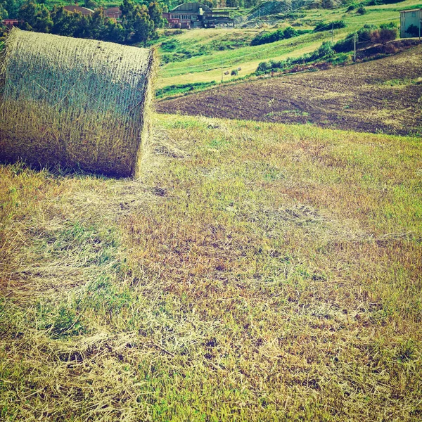 Bale de foin dans le village sicilien — Photo