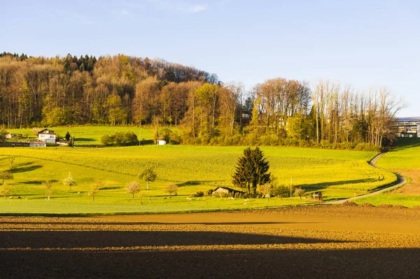 Bosques y campos arados en Suiza — Foto de Stock