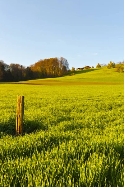 Houten paal als de grens — Stockfoto