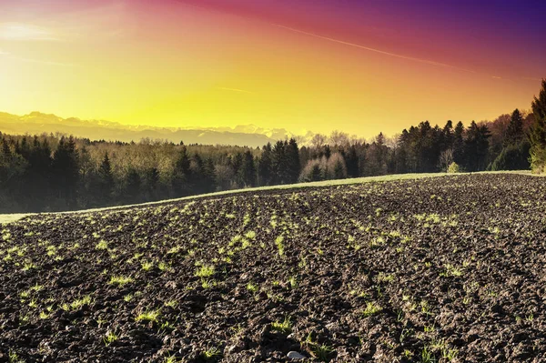 Plowed fields at sunrise — Stock Photo, Image