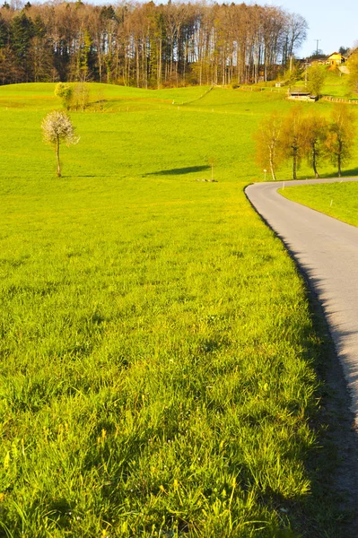 Asfaltová silnice vedoucí k farmě — Stock fotografie