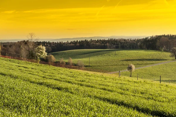 Paisagem suíça no início da manhã — Fotografia de Stock