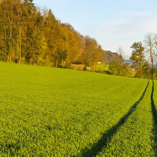 Pastures around the village — Stock Photo, Image