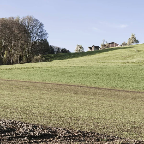 Landbouw in Zwitserland — Stockfoto