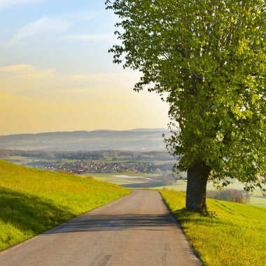 Mera arasındaki asfalt yol