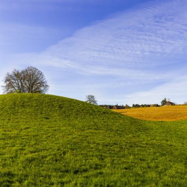 İsviçre yatay, çayırlar