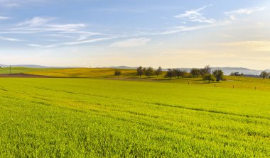 İsviçre yatay, çayırlar