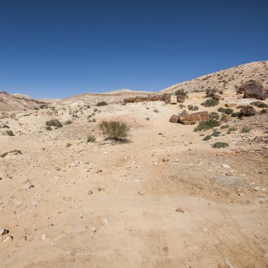 İsrail çölde peyzaj