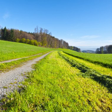 Çim biçme sırası