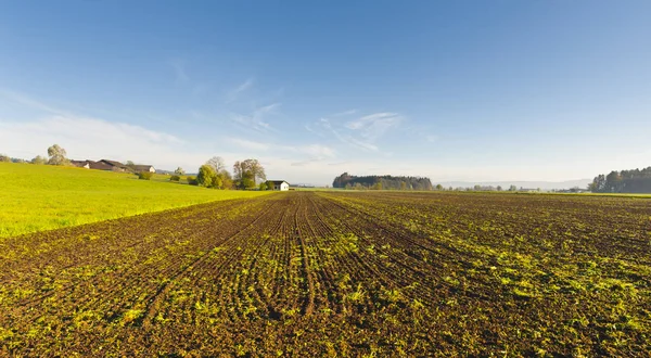 Pueblo suizo rodeado de campos fluidos . — Foto de Stock