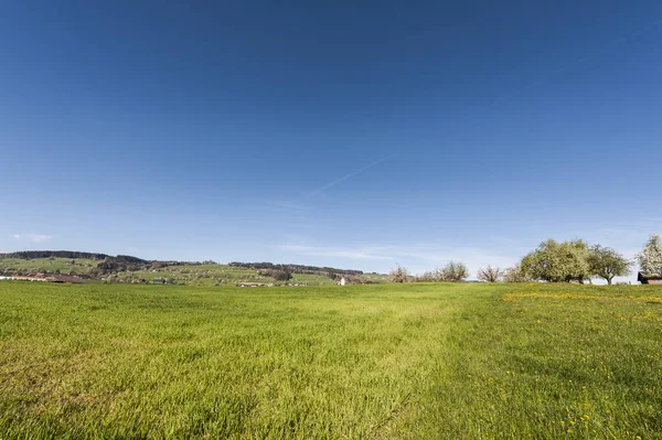 Švýcarská krajina s loukami — Stock fotografie