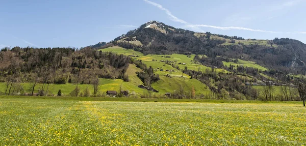 Bloeiende weiden in Zwitserland — Stockfoto