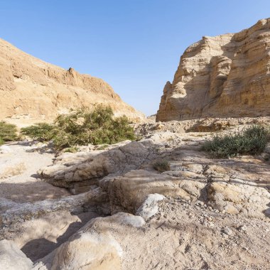 İsrail Taş Çölü