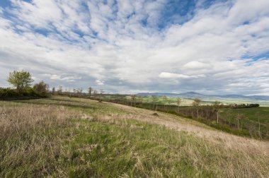 Orman ve çayır ile İtalyan peyzaj