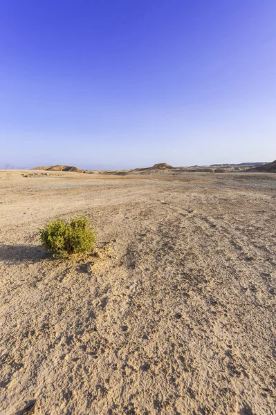 Stone desert in Israel — Stock Photo, Image