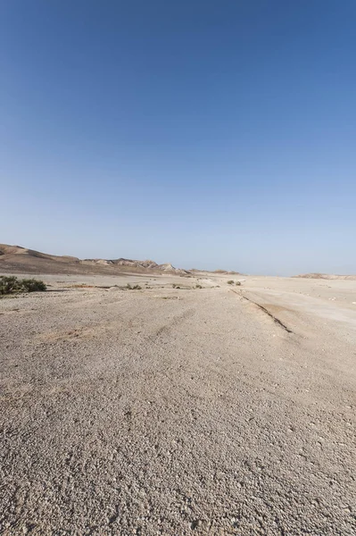 Камінь пустелі в Ізраїлі — стокове фото