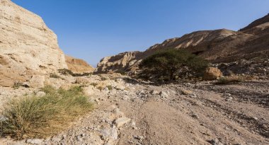 İsrail Taş Çölü