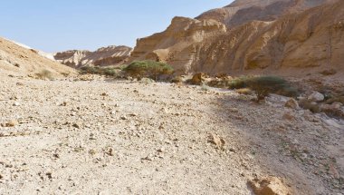 İsrail Taş Çölü