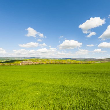 Çayırlar ile İtalyan peyzaj