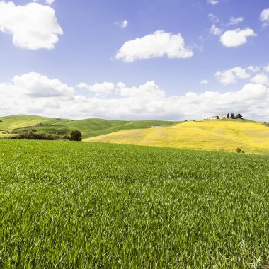 Alanları, otlaklar ve çiftlik evi 