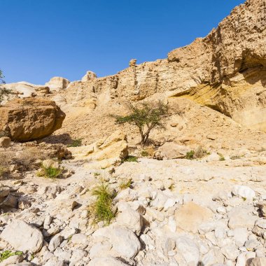 İsrail Taş Çölü