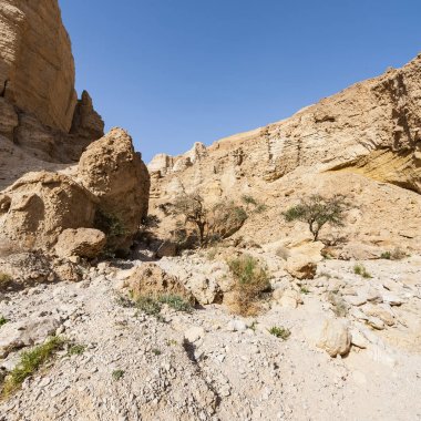 İsrail Taş Çölü