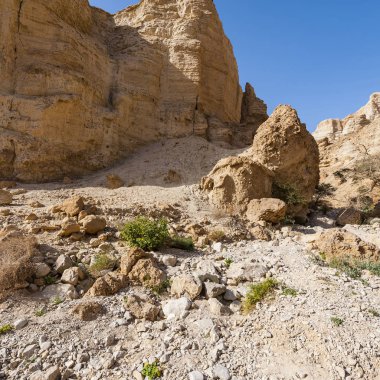 İsrail Taş Çölü