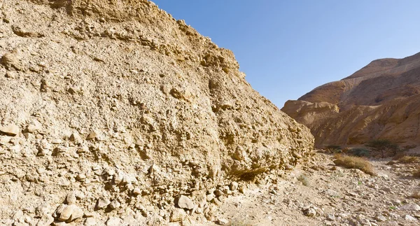 El desierto de piedra en Israel —  Fotos de Stock