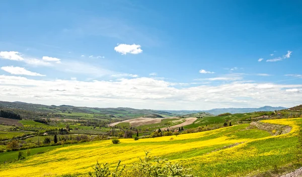 Campi e pascoli in italia — Foto Stock