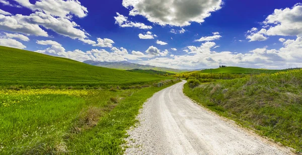 Toprak yol çayır İtalya arasında — Stok fotoğraf