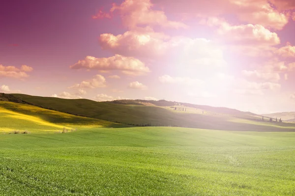 Champs, pâturages et fermes au lever du soleil — Photo