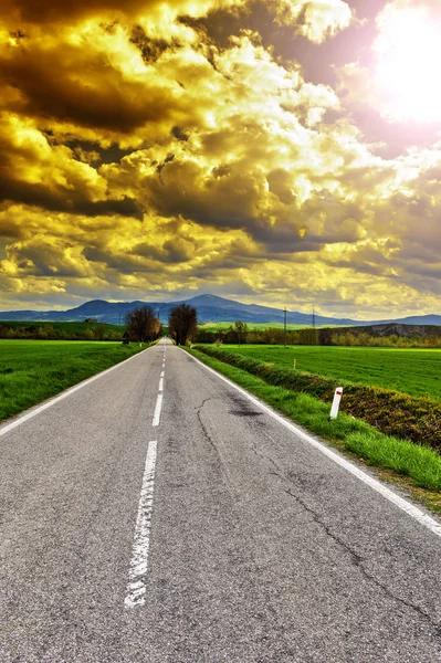 Asfalterad väg mellan äng i Italien — Stockfoto