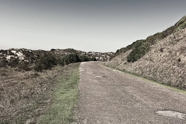 Road in Dunes — Stock Photo, Image