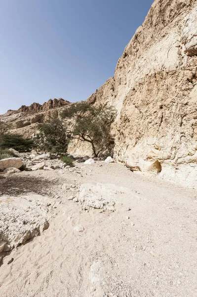 El desierto de piedra en Israel — Foto de Stock