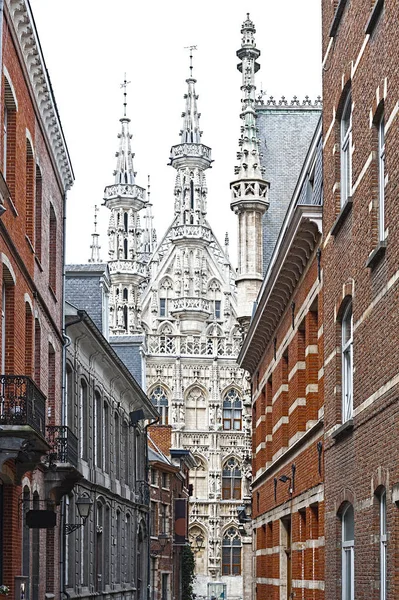 Prefeitura e Igreja de São Pedro em Leuven — Fotografia de Stock