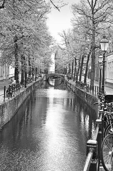 Rua com bicicletas estacionadas em um Embankment — Fotografia de Stock