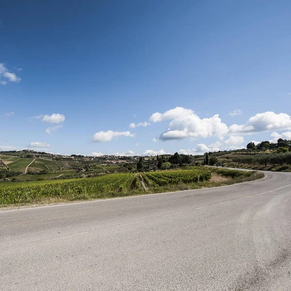 Carretera entre viñedos — Foto de Stock