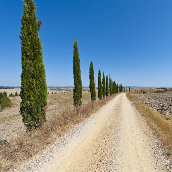 Tuscany landscape after harvest — Stock Photo, Image