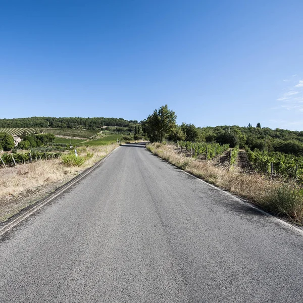 Carretera entre viñedos — Foto de Stock