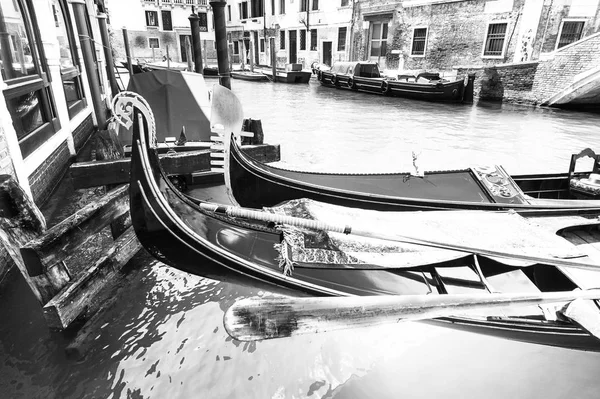 Damage from dampness in Venice — Stock Photo, Image