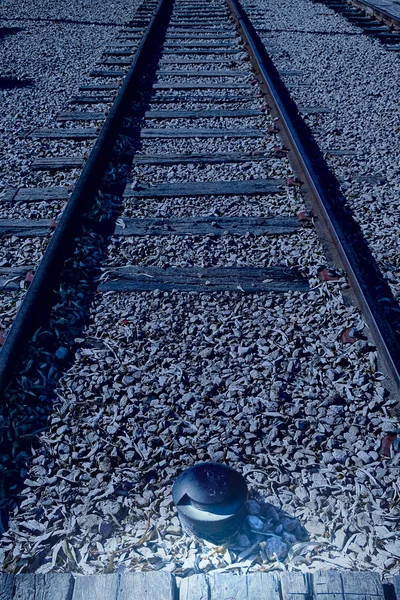 Single-track spoorlijn — Stockfoto