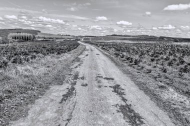 Belçika ile büyüyen Ladin için kreş alanları