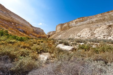 İsrail 'de Negev Çölü