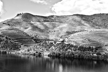 Portekiz 'de River Douro