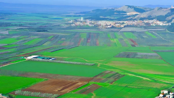 Jezreel  Valley in Israel — Stock Photo, Image