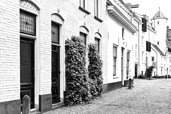 Casas típicas de tijolos holandeses — Fotografia de Stock
