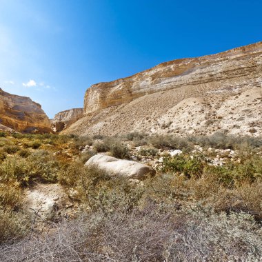 İsrail 'de Negev Çölü