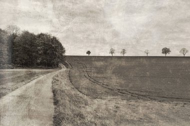 Çayır ve Mera, yatay