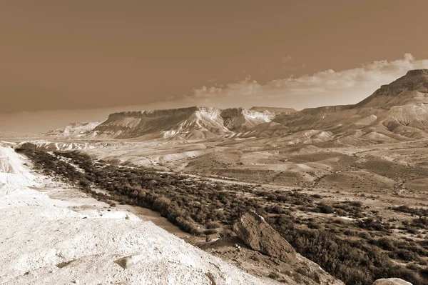 Negev Desert in Israel — Stock Photo, Image