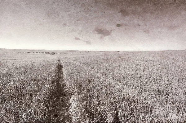 Fields and Cural Curving Road in Israel — Stock Photo, Image